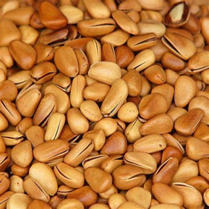 【黔货小鑫】 农家特产代收山货开口松子