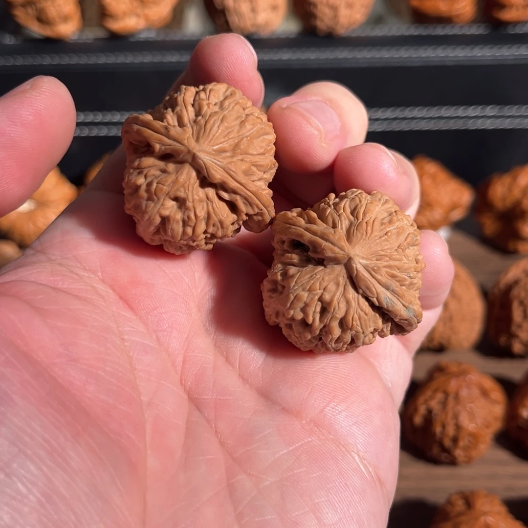 手串/手链核桃爱**：35全品白狮子