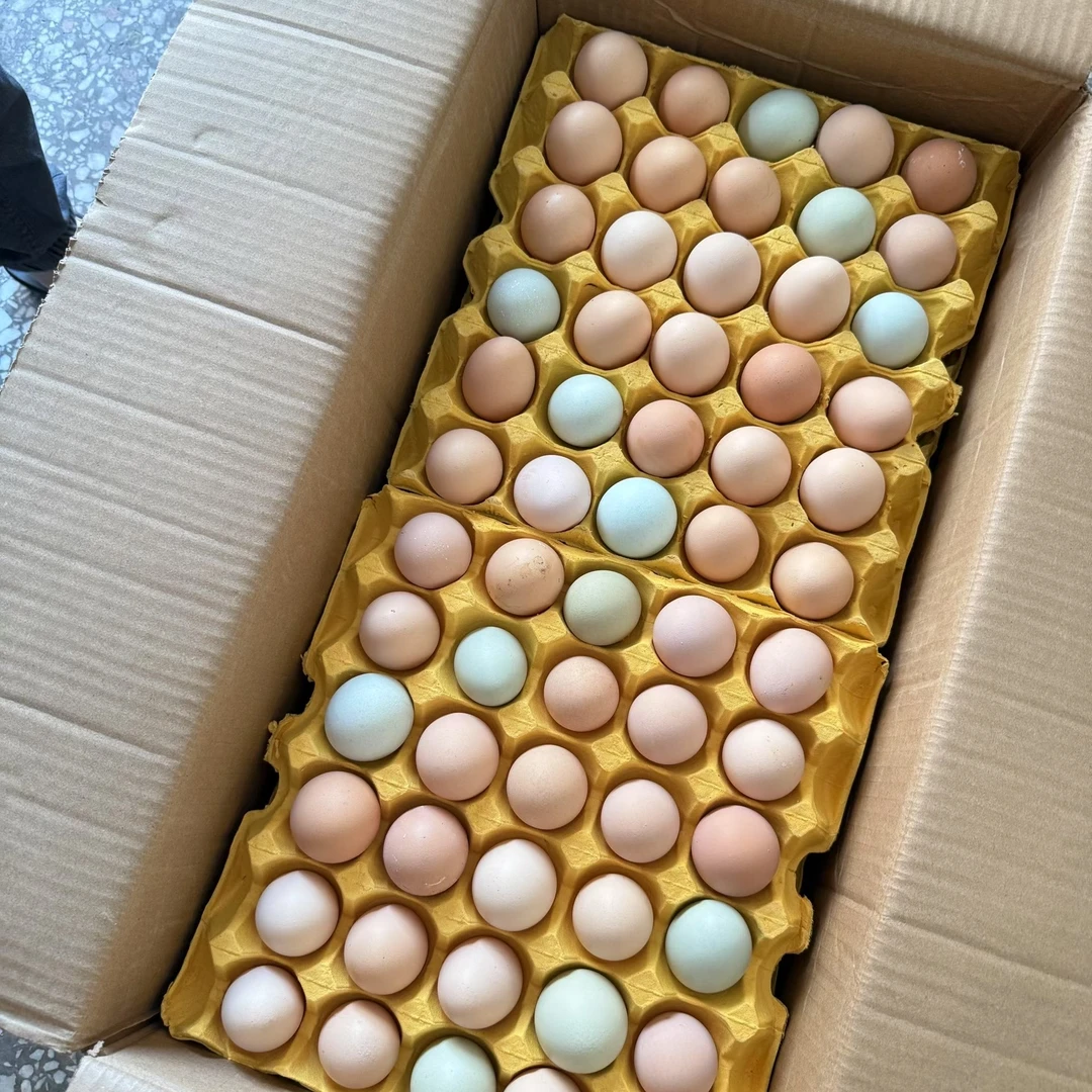 青青福福散养土鸡蛋农村土鸡蛋50枚粉壳绿壳各一半，混装土鸡蛋