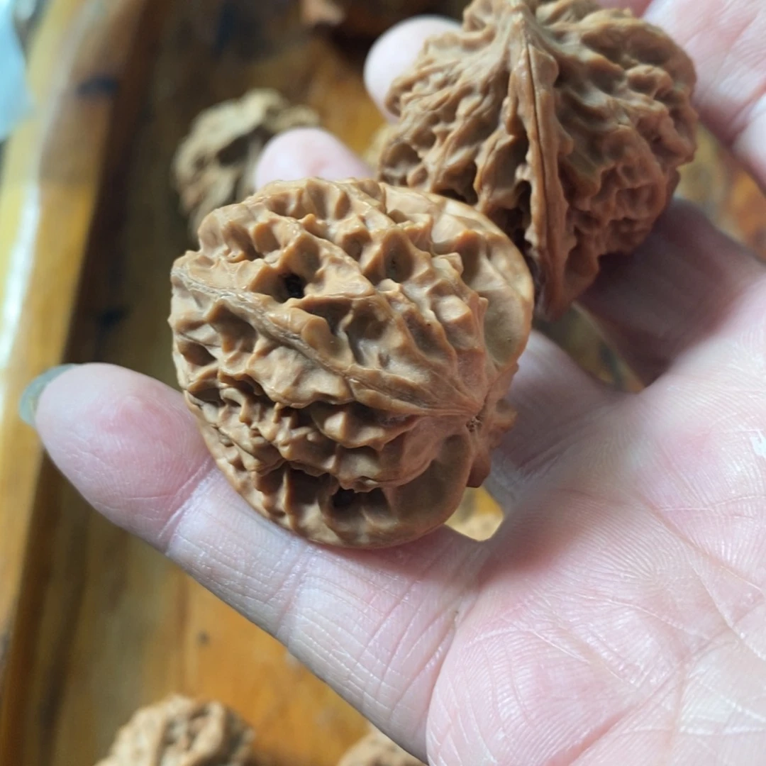 踏****m秦岭南北区一座城市一次