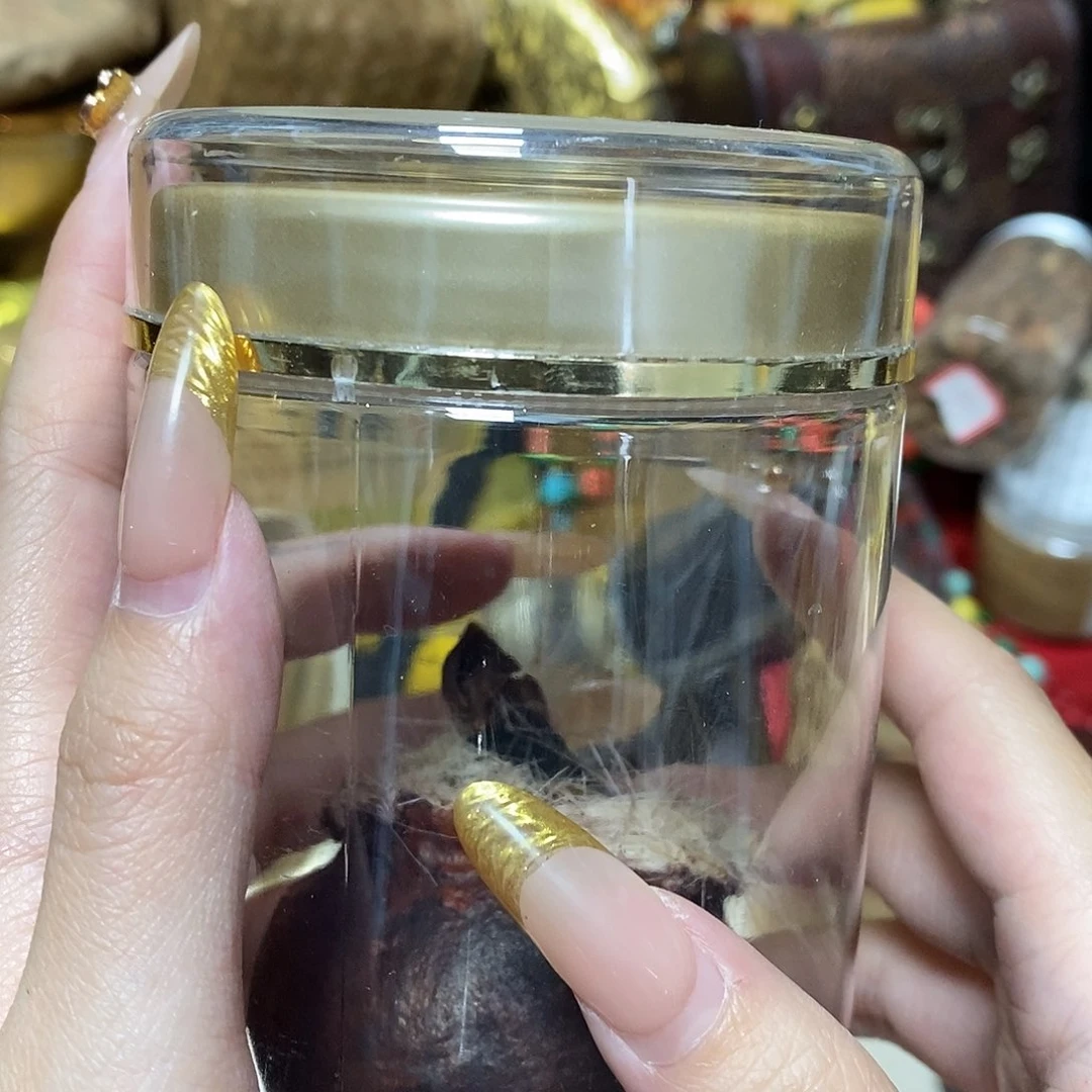 紫砂我想我们还会再见面吧