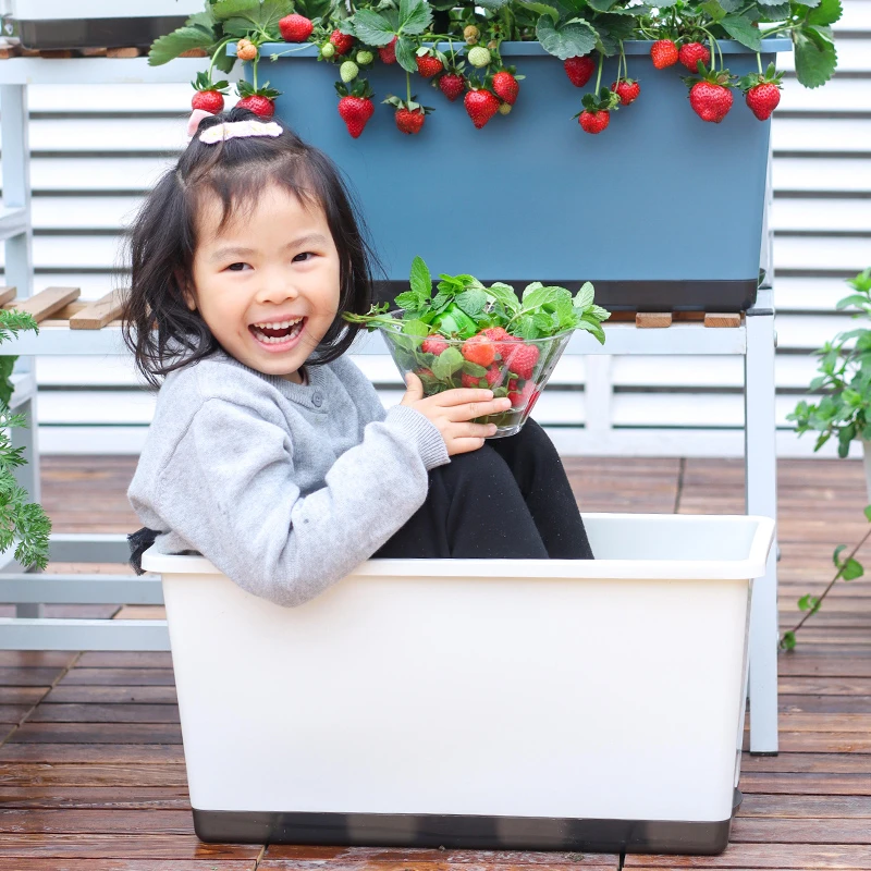 【买一送一】欧林泽加厚长方形塑料花盆带托盘阳台专用种菜专用盆