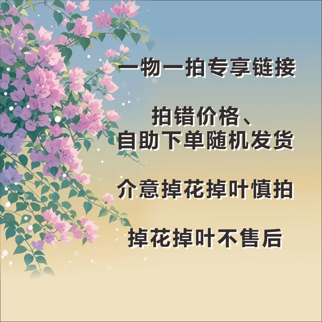 【一物一拍直播间专属】介意掉花掉叶慎拍