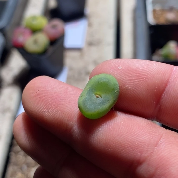 26208一个一个一个