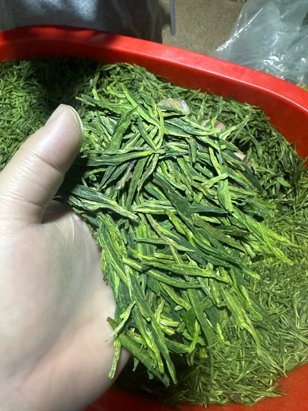 【小何】高山白茶口粮茶福利雀舌龙井绿茶款茶叶龙井浓香型绿茶茶叶