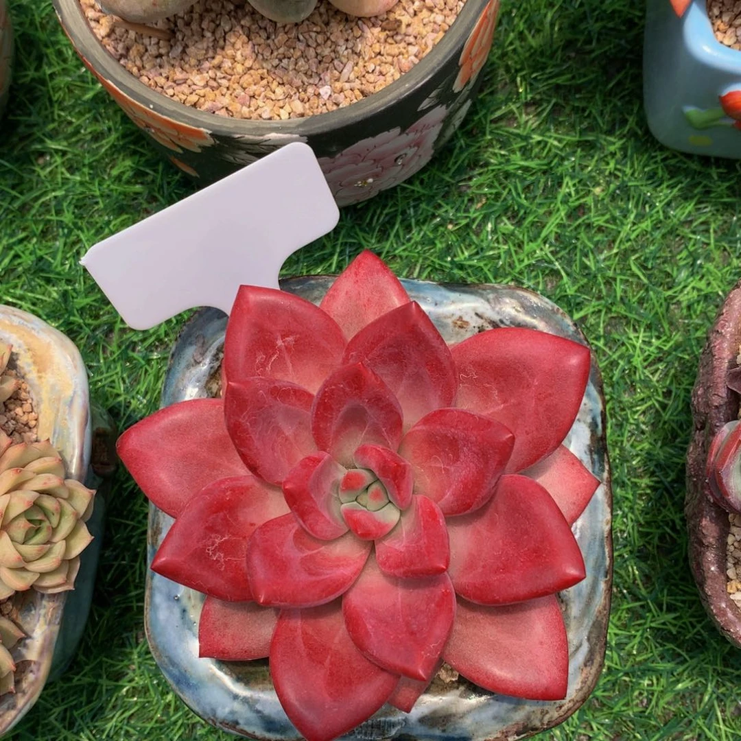 西*赫菲斯7373737