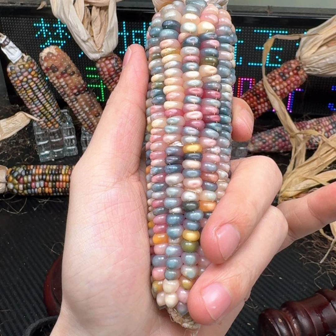 柏香籽/百香籽吊坠梨***?