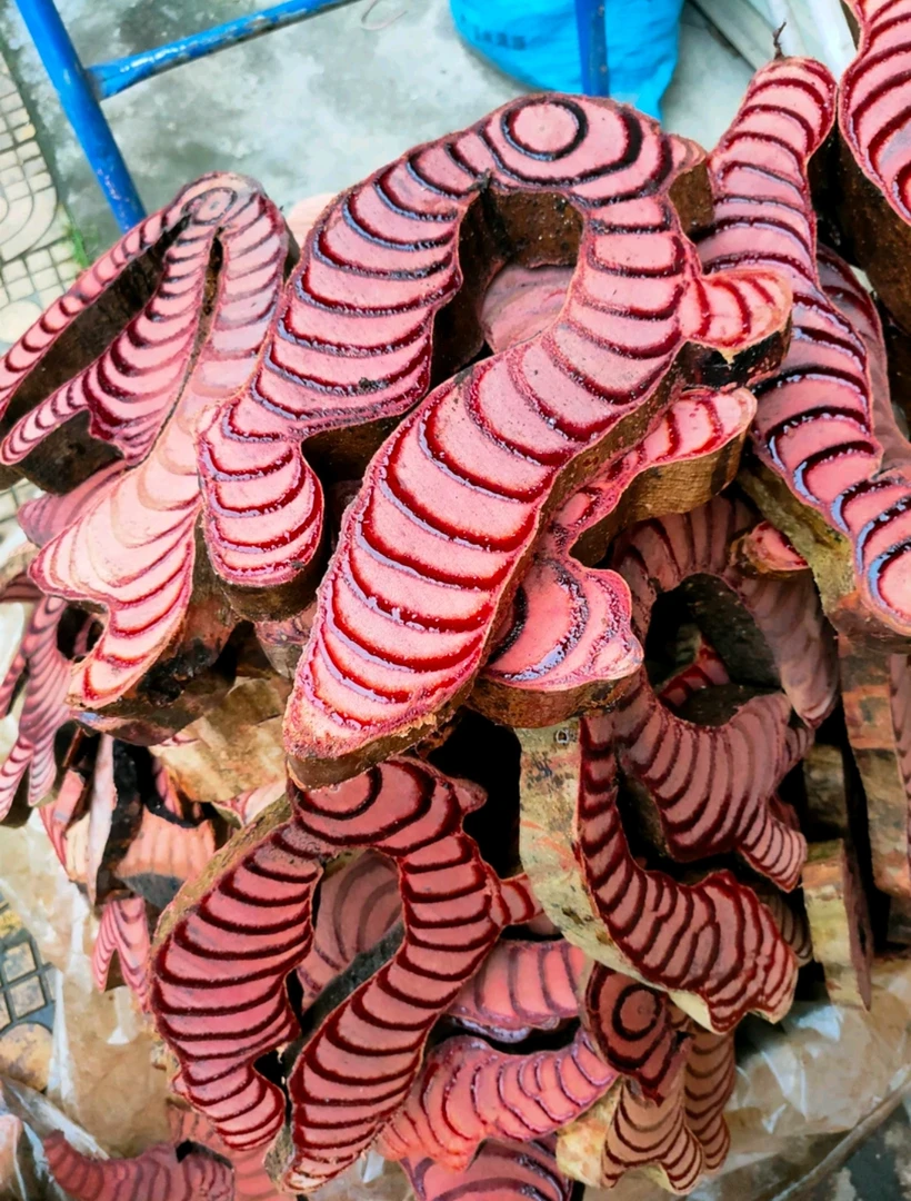 广西正宗千年新鲜湿的鸡血藤