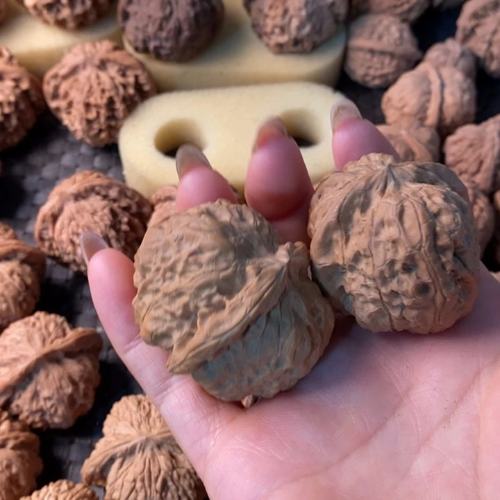 小*子南瓜南瓜南瓜南瓜南瓜