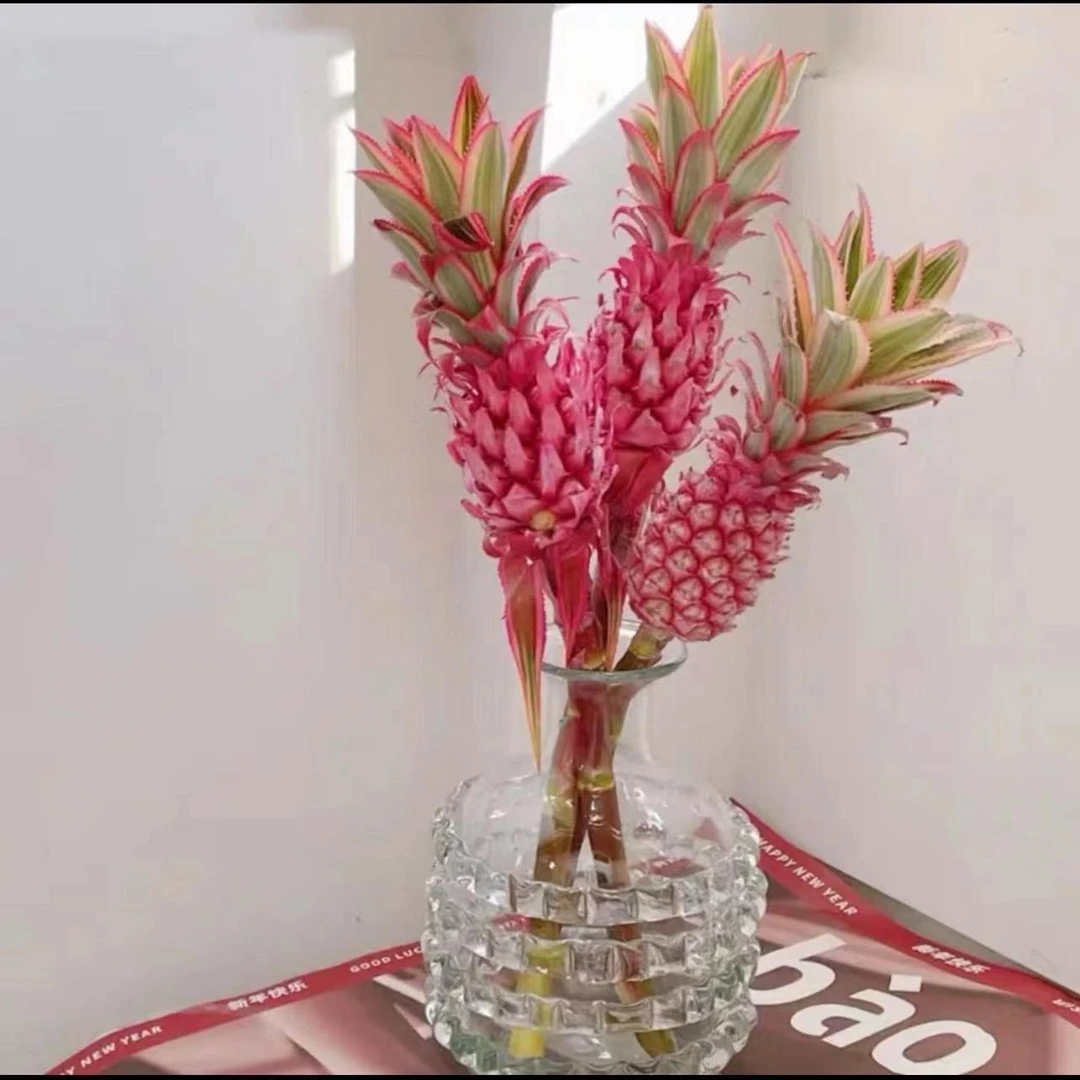 一花一木【进口小粉菠萝花材】可做干花 昆明基地直发