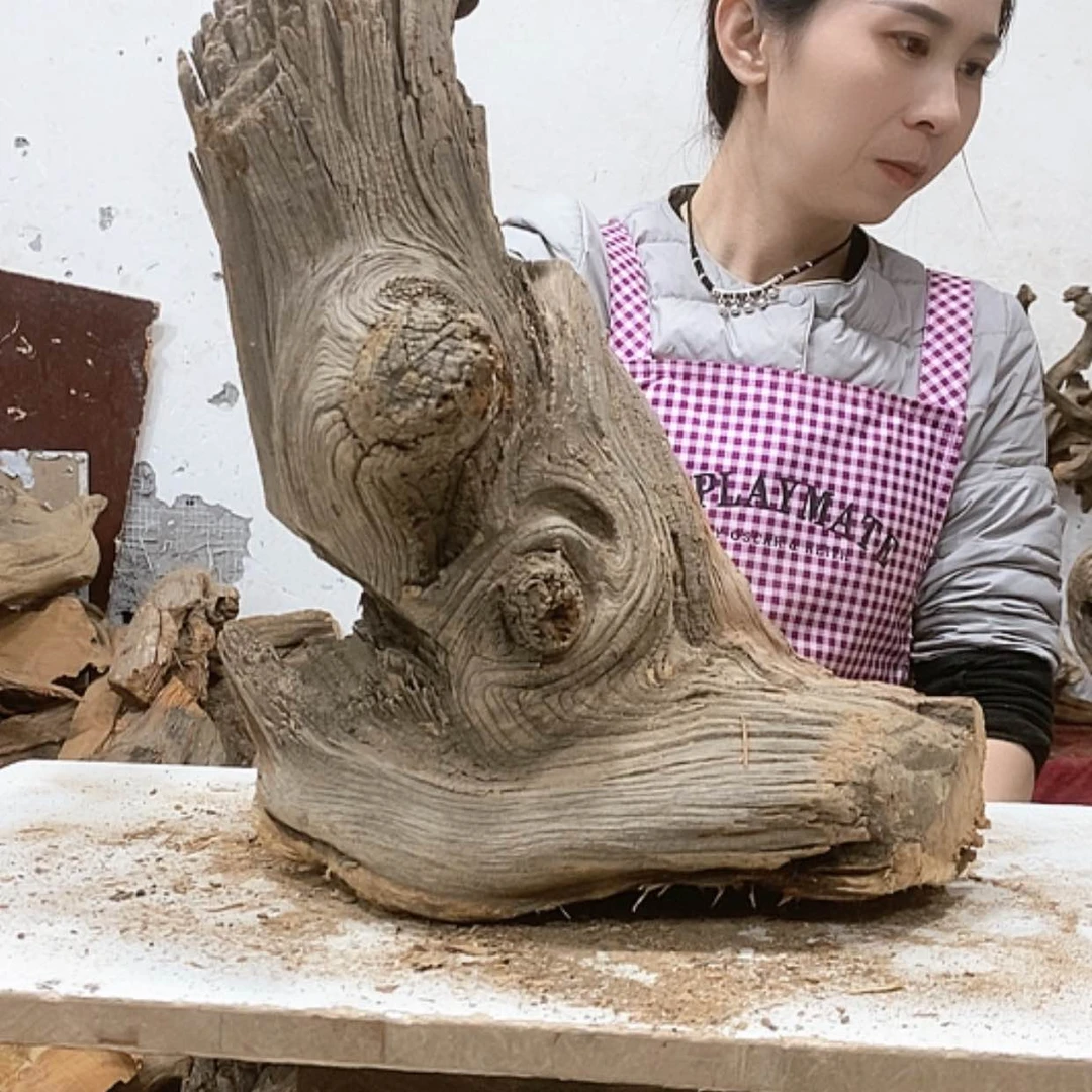 【闪购商品】柏木贤我们都是好孩子