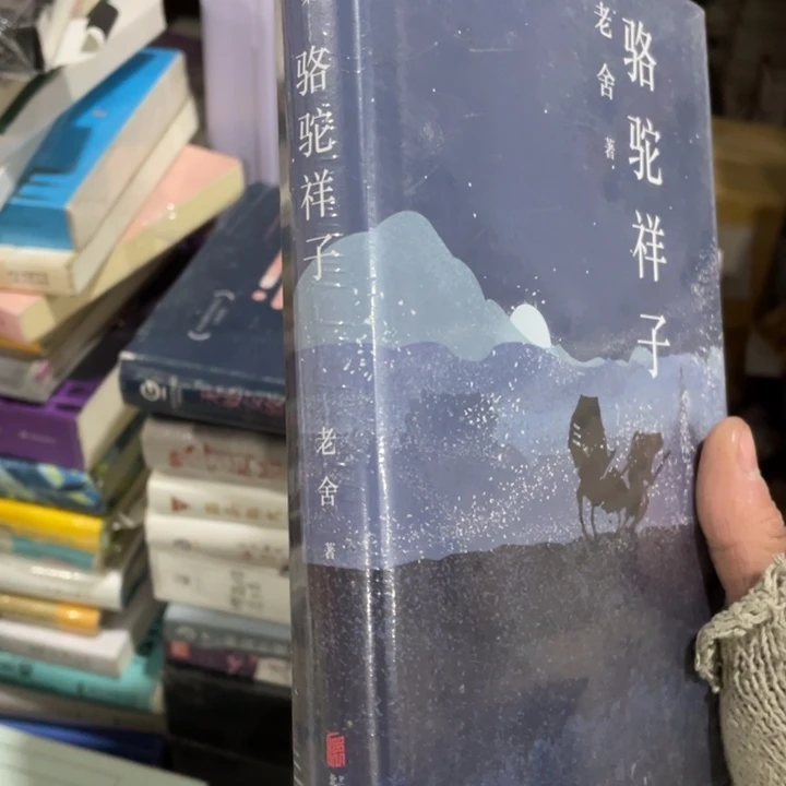 骆驼祥子老舍塑封