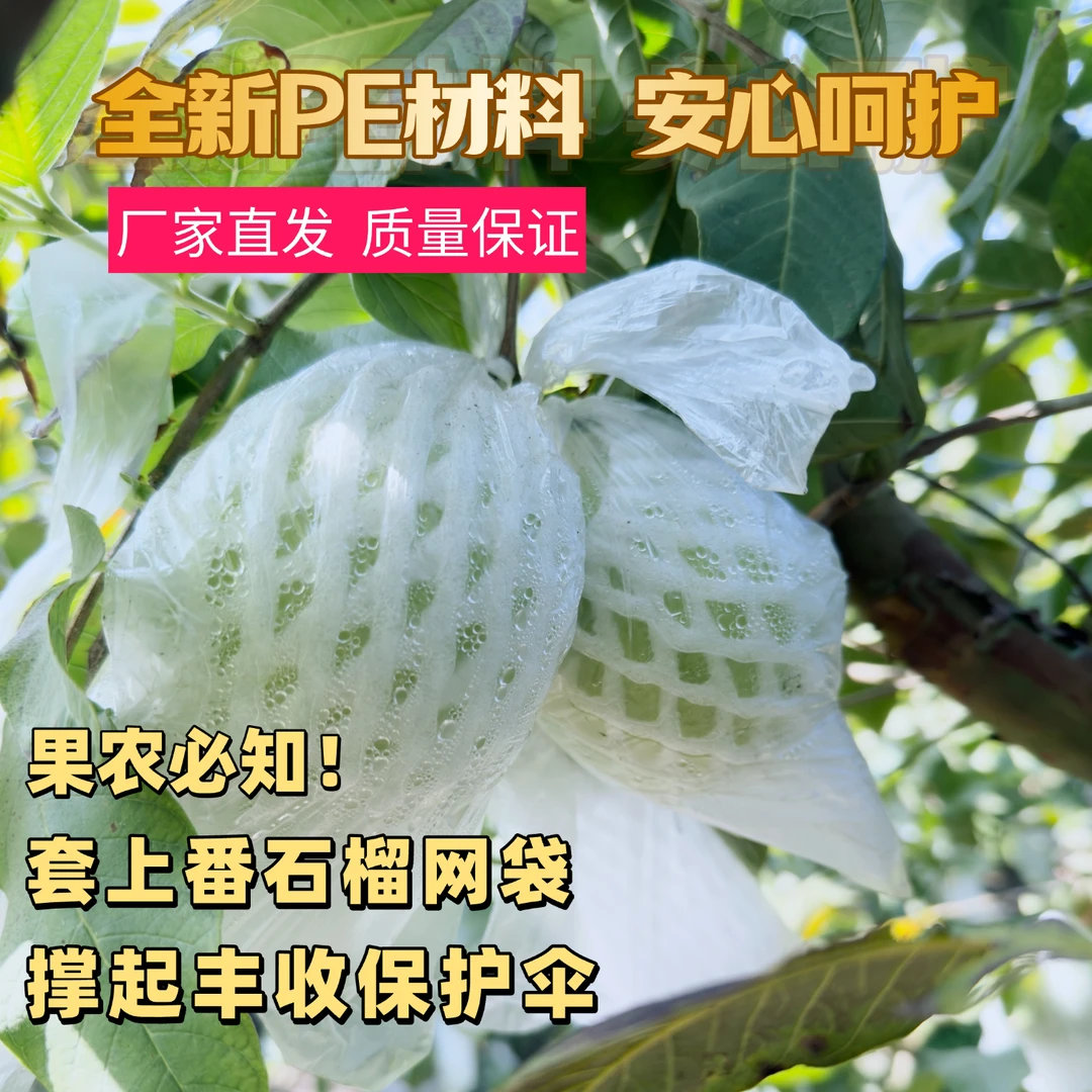 3000套番石榴防虫套袋防虫防晒不闷果 物理防果蝇防鸟啄防晒伤
