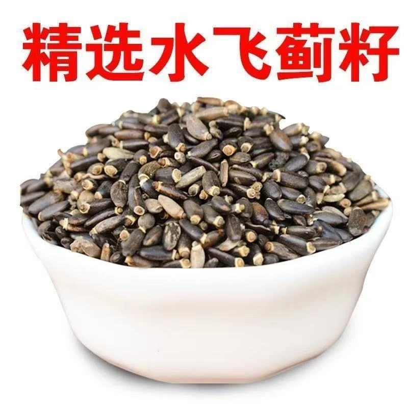 水飞蓟籽中药材可泡茶饮用饱满新货