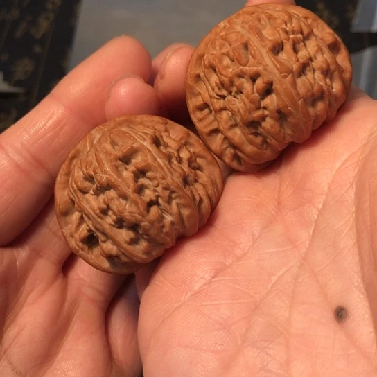 ？***文玩核桃把件白狮子40mm