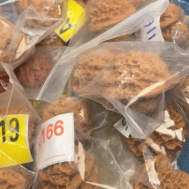 文玩核桃把件核桃