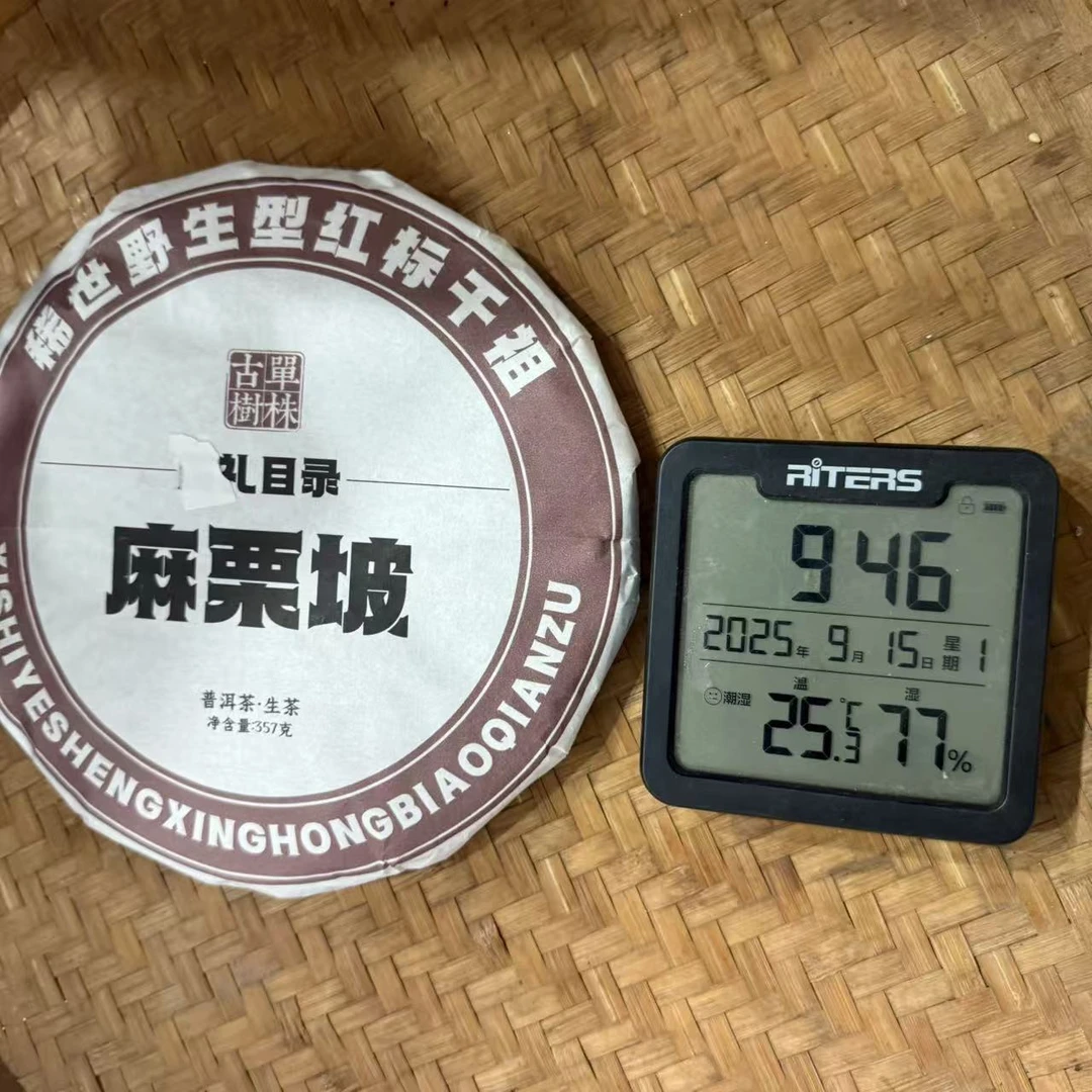 21年麻栗坡目录稀世野生型红标普洱生茶饼357克Y74号9月15日