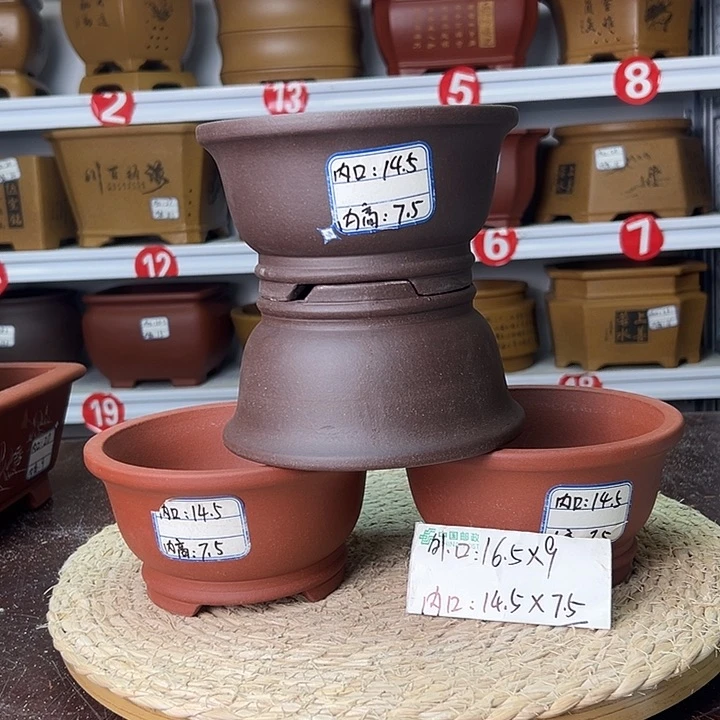 紫砂花盆蛇年大吉