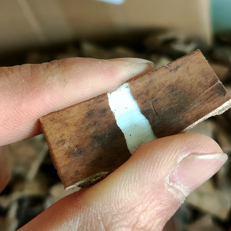 秦岭正品老皮杜仲茶干货中药材男士泡酒专用特级正宗野外生长