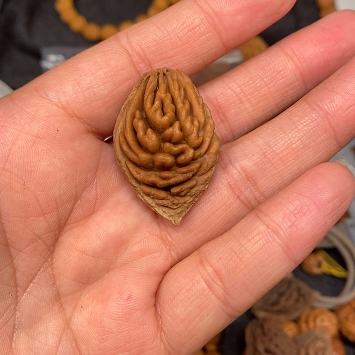 @***三碧桃野生籽大吊坠