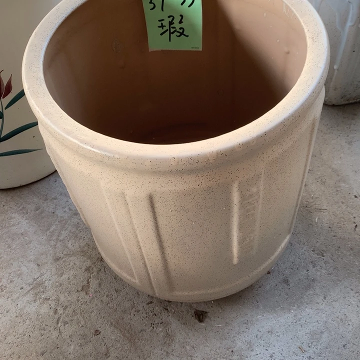 花盆里的小猫咪们快来快去