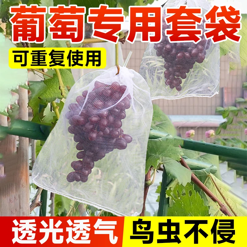 水果网套袋防虫防鸟纱网袋草莓套袋葡萄透气套袋无花果番石榴套袋