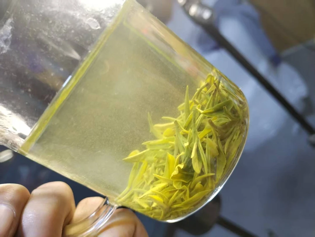 碧螺春群体种晚茶，人工挑选，一芽一叶，口感浓郁回甘甘甜