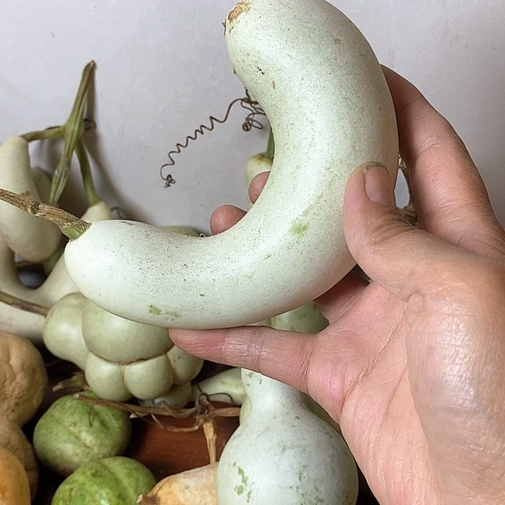 美***嗷青皮葫芦手把件摆件