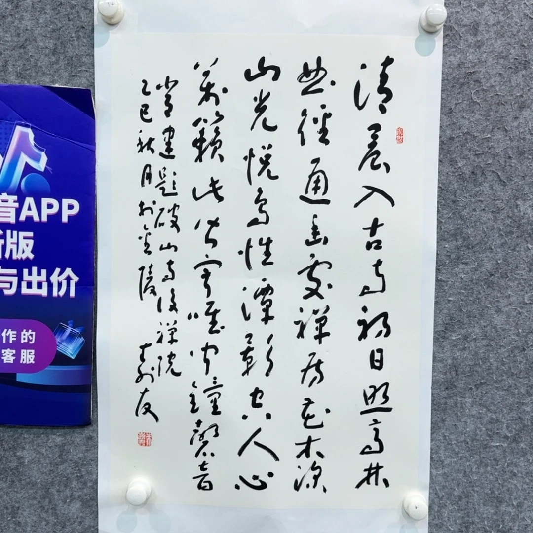 书法书法作品ZSY老师