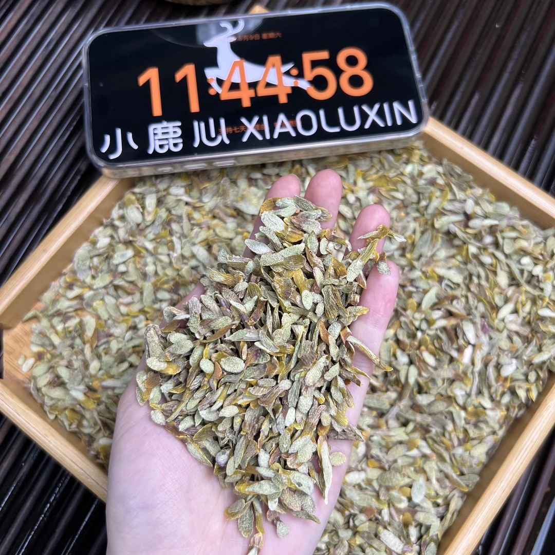 铁皮石斛片 ② 小鹿收茶 石斛茶 8月9