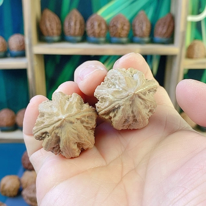 文玩核桃吊坠030小暴龙