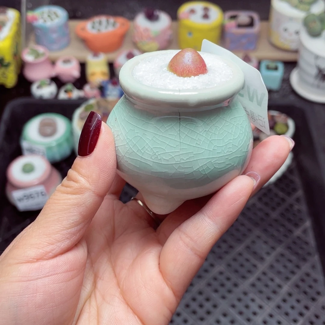 w9642 带盆土发货-零下地区拍保温箱