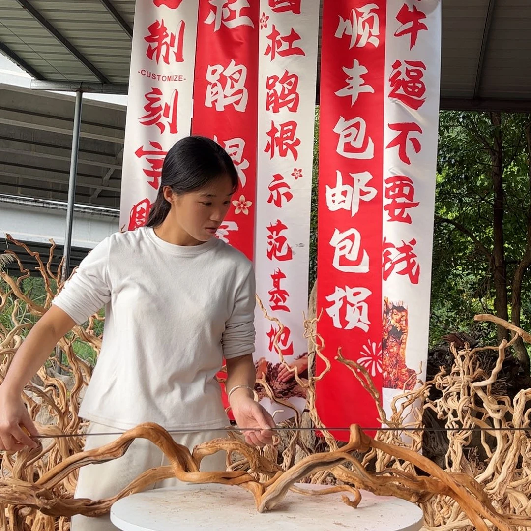 ༻***༻木108积极积极积极了