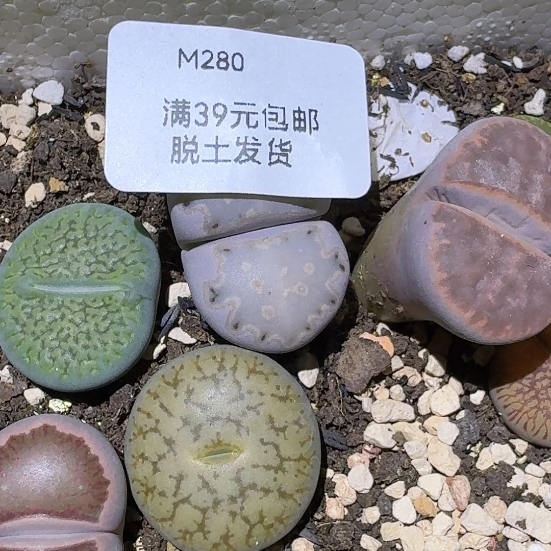 哇***咯280腿长哈哈哈哈哈哈哈