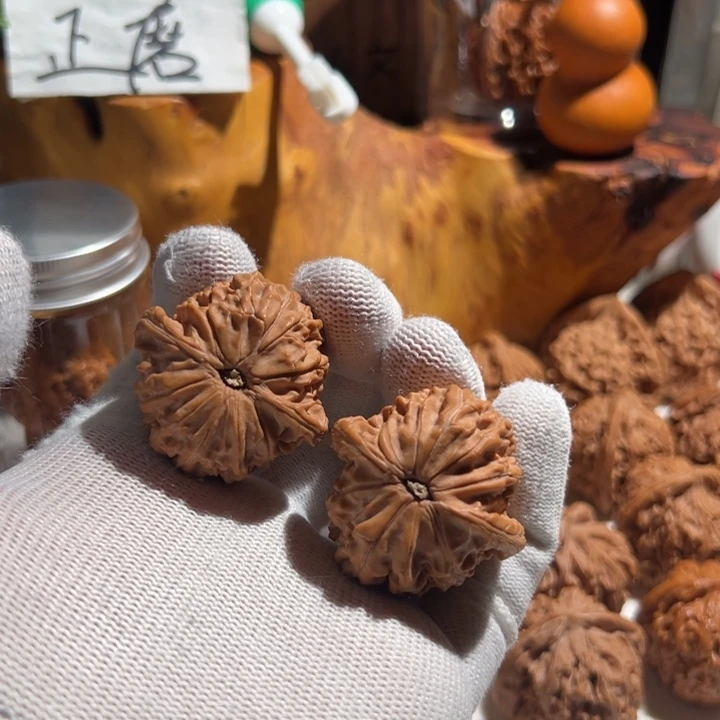 T***—核桃全品无修 39 山地 无药 正磨