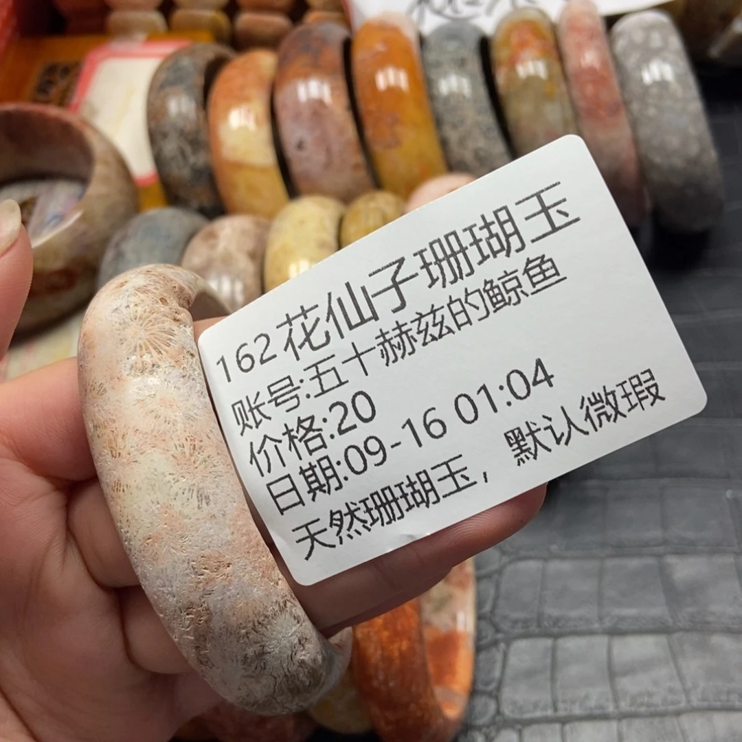 五***鱼未镶嵌硅化珊瑚（珊瑚玉）珠宝半成品162