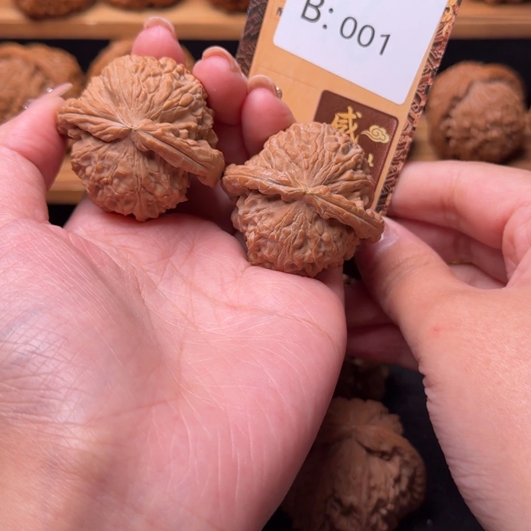 核桃b001白狮子4.2