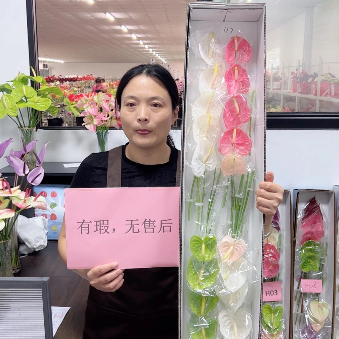 完全开放红掌鲜切花混色20枝装117