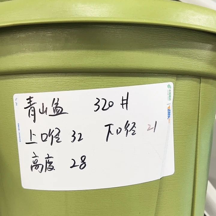 特价青山口32高28灰白无托5只