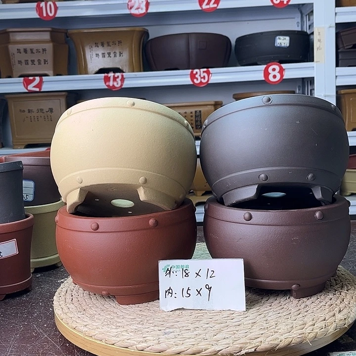 花盆紫砂你在一起