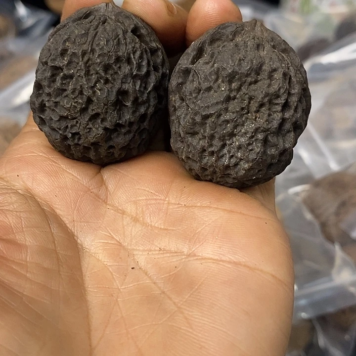 核桃云南铁核桃基地65