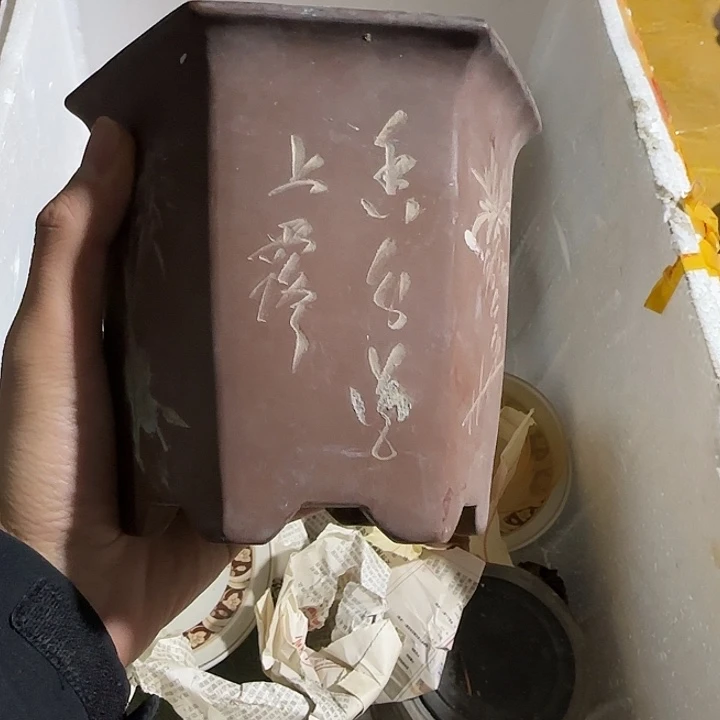 张***城u小姐姐继续经济学家想见你