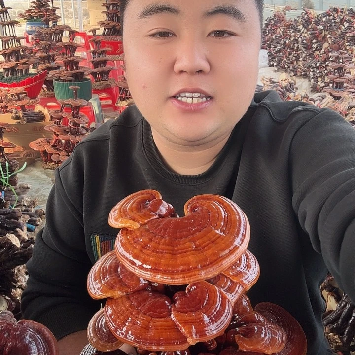 无花朵用****9灵芝花开了