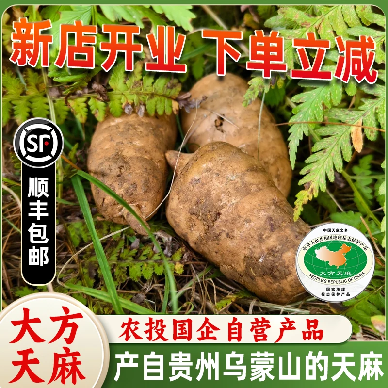 【顺丰】贵州新鲜大方天麻现挖高山煲汤仿野生天麻正宗野天麻