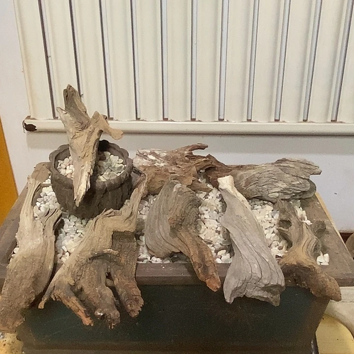 用***团柏木根雕崖柏天然艺术