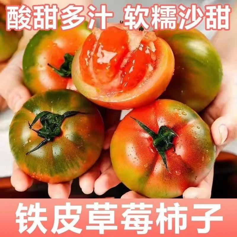 西红柿草莓番茄超甜番茄东北铁皮柿子