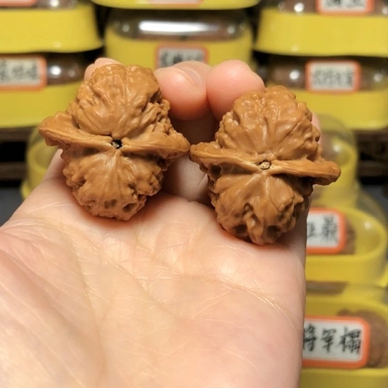 旭精品野生品观音肚