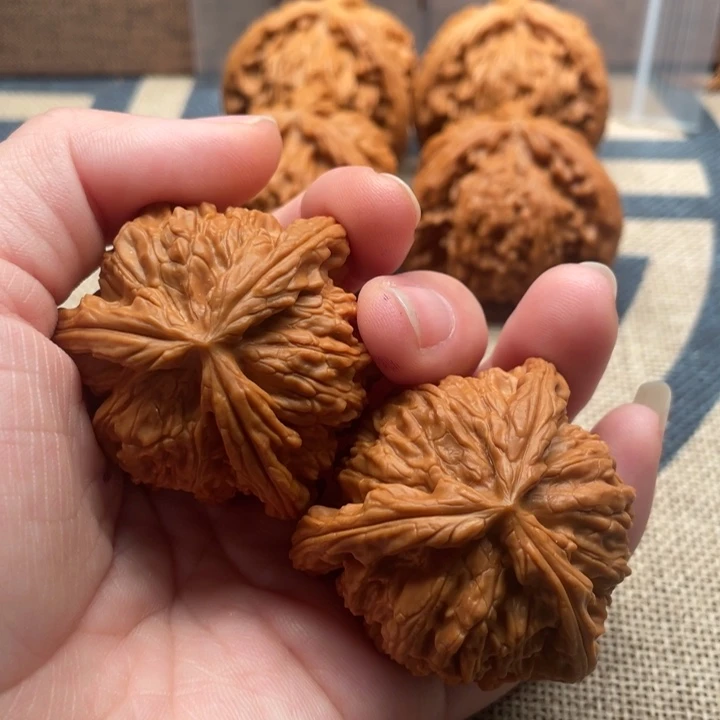 ༺***༻核桃白狮子42核桃