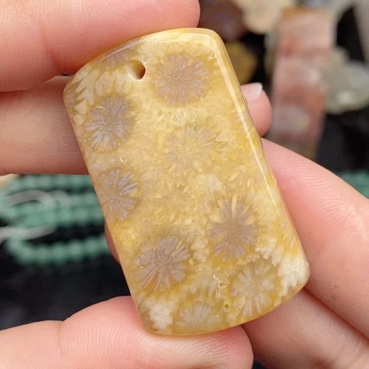 硅化玉未镶嵌颈饰