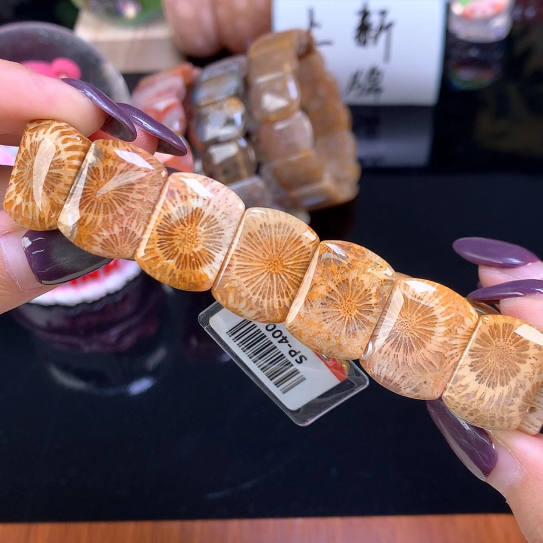 【闪购商品】颈饰未镶嵌硅化珊瑚（珊瑚玉）福利手牌400漏300（32号）